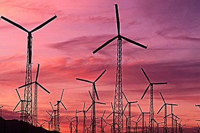 博板堂：《黑神话：悟空》8月份已彻底带动显卡销售热潮